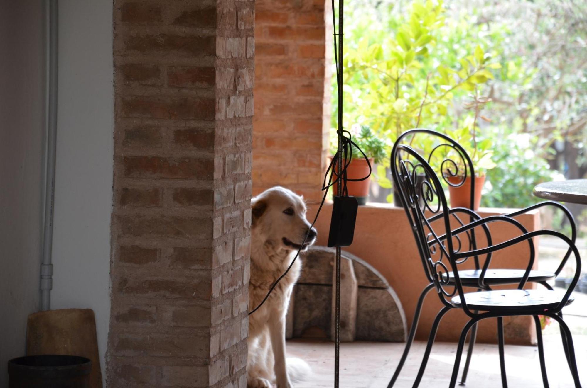 카탄차로 Borgo Piazza B&B 객실 사진